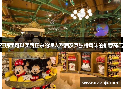 在哪里可以买到正宗的矮人烈酒及其独特风味的推荐商店